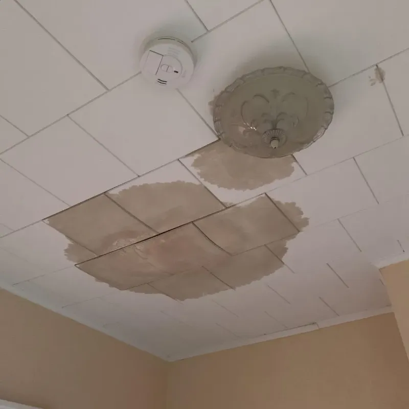 Ceiling Water Damage Repair in Montgomery County, TX