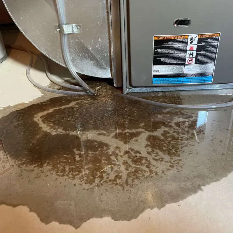 Pipe Burst and Leak Restoration in Montgomery County, TX